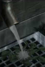 Rainbow Nisha Rokubou no Shichinin مترجم