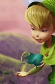 فيلم كرتون Tinkerbell and the lost treasure – تينكر بيل والكنز المفقود الجزء الثاني مدبلج عربي