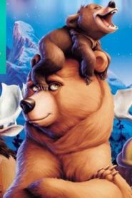 فيلم الكرتون أخي الدب الجزء 1 مدبلج عربي فصحى